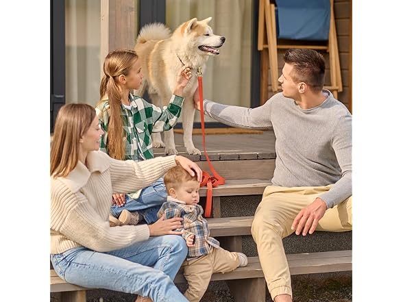 Viper Biothane K9 Working Dog Leash Waterpro