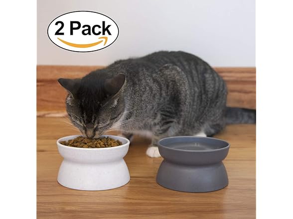 Kitty City Raised Cat Bowls, 2pk