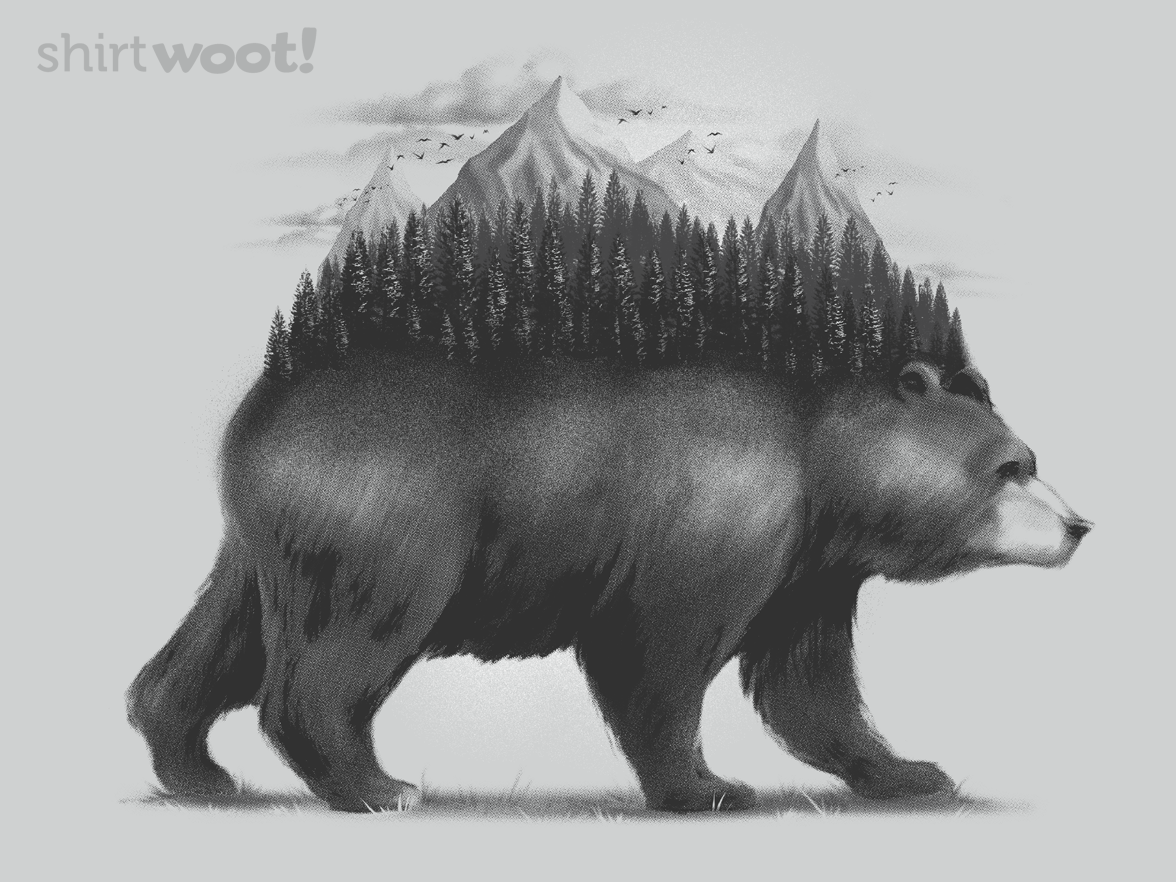 Bear Forest - Gallery 3