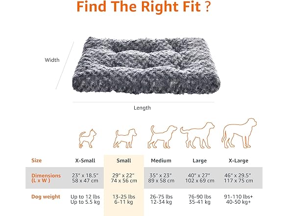 Amazon Basics Washable Cat and Dog Bed 29 x 21 x 3 in