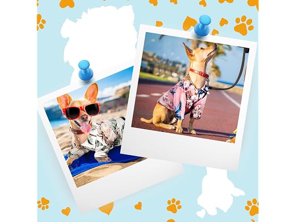 Weewooday 4 Pieces Small Pet Summer T-Shirts 