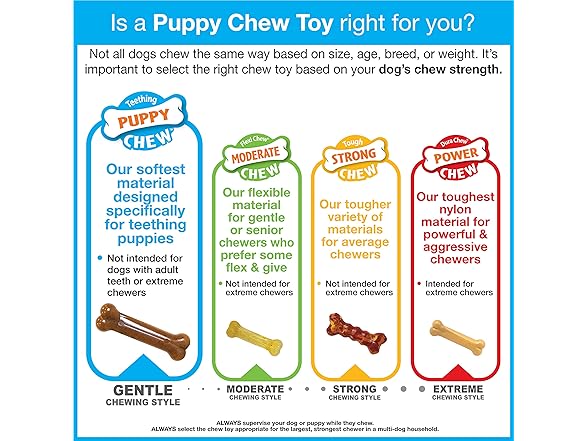 Nylabone Double Action Bone Puppy Chew