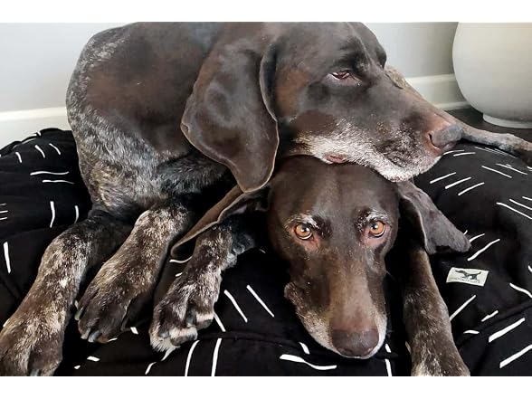 Molly Mutt Dreams Dog Bed Duvet Cover, GOTS-Cert