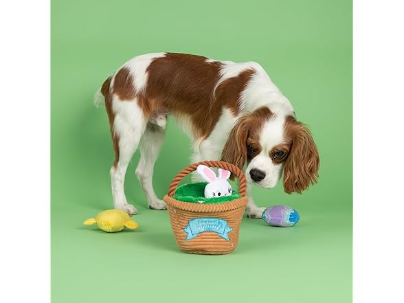 Fringe Studio Plush Dog Toy, Hide & Seek