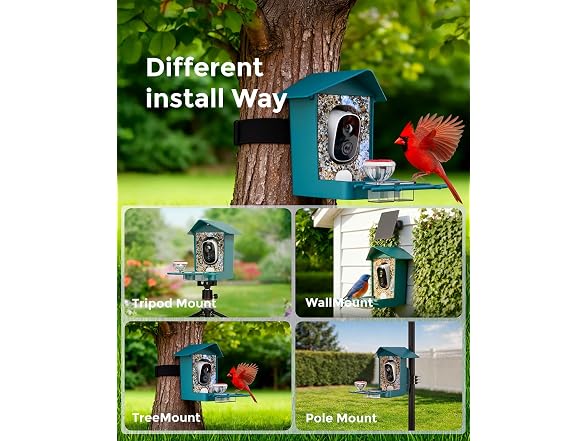 Devo Solar Smart Bird Feeder