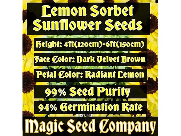 Lemon Sorbet Sunflower Seeds