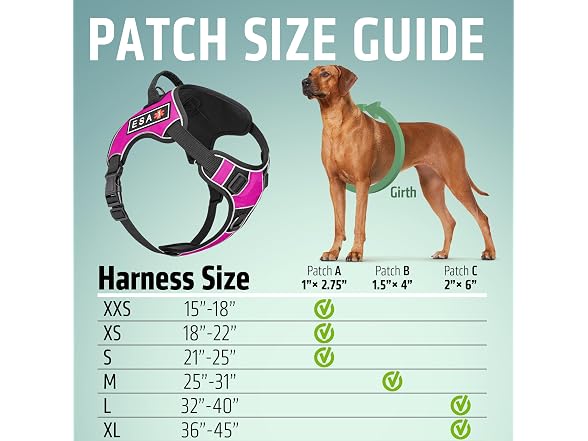 Dogline Quest No-Pull Dog Harness with 3D Ru