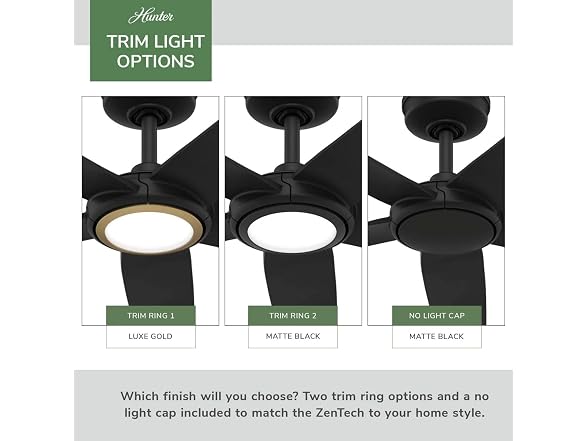 Hunter Fan 52 inch Ceiling Fan with Light, Matte Blk