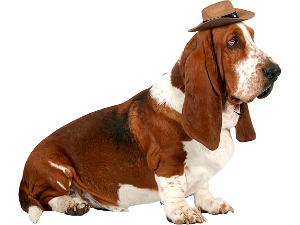 Rubies Cowboy Pet Hat for Dogs or Cats, M/L