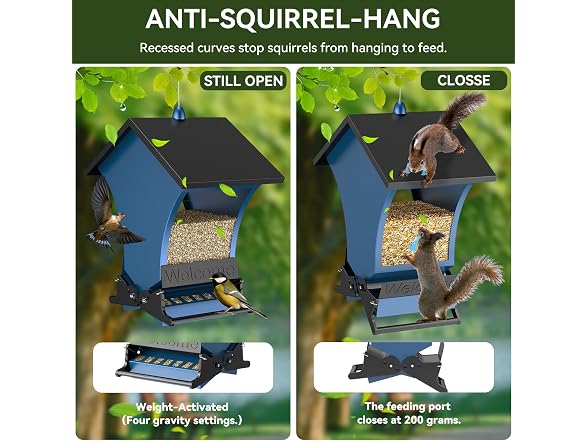 Wildpark Squirrel Proof Bird Feeders