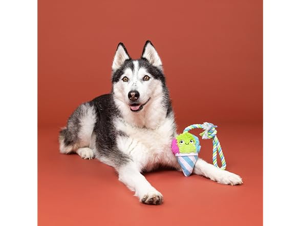 Fringe Fringe Studio Plush Dog Toy with Rope