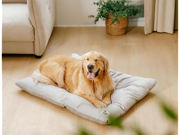 FUNNY FUZZY W2043 2 in 1 Dog Bed Crate Pad Light Grey XL