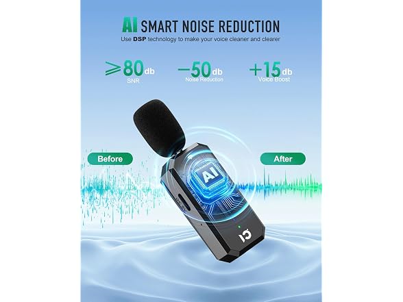 SHIDU 20W Voice Amplifier Wireless Lavalier