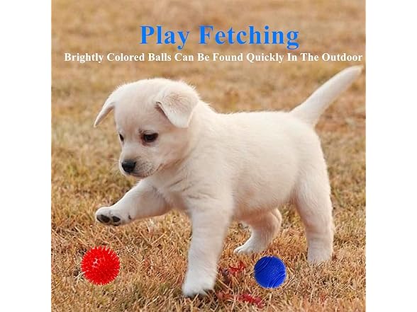 FULLINY Puppy Toys Small Rubber Balls