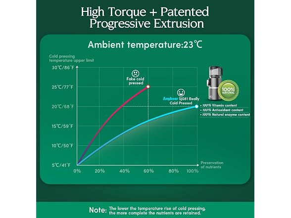 Anybear 350W Cold Press Juicer