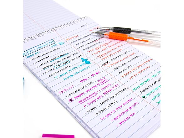 BAZIC 80-Sheet Gregg Ruled Steno Book
