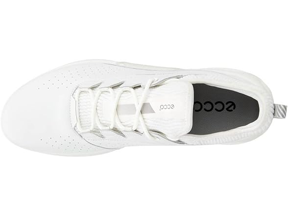 Ecco Biom C4 Gore-Tex Golf Men's Shoes
