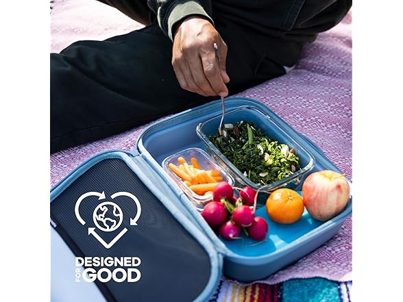 Hydro Flask Carry Out Lunch Box