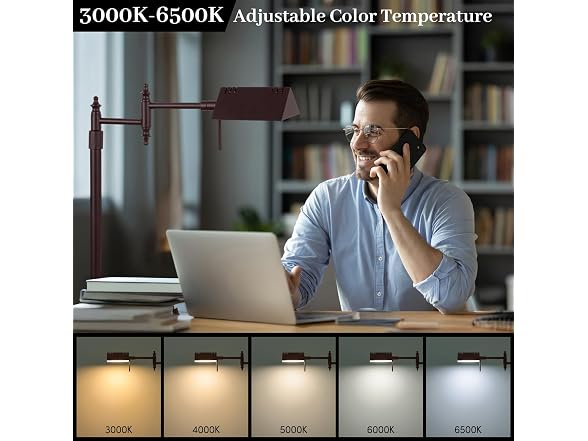 Bairth Oil-Rubbed Bronze Reading Floor Lamp