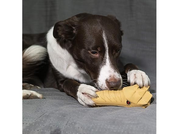 Dog Toys for Aggressive Chewers