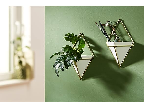 Umbra Trigg Hanging Planter Wall Decor
