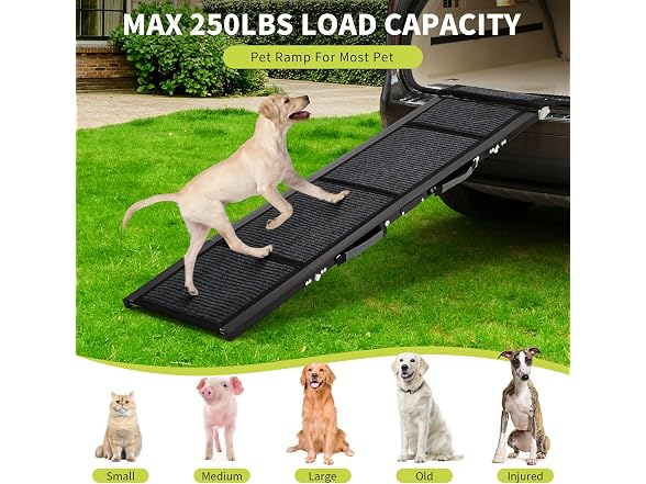 Fectiontool Dog Ramp for Car – 63" x 20"