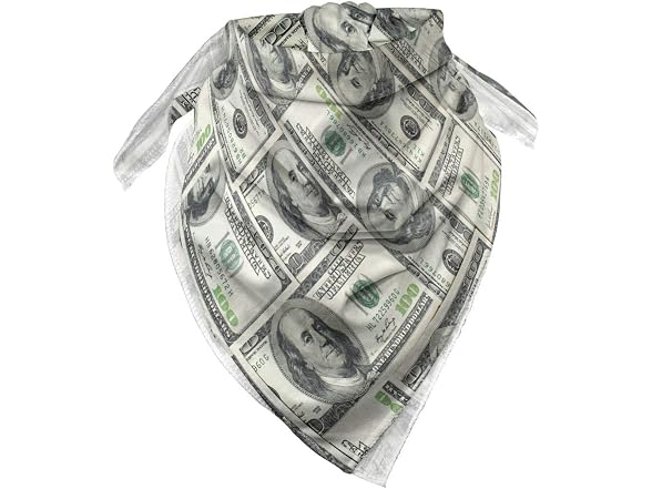 Ambesonne Unisex (Standard) Bandana Money Franklin