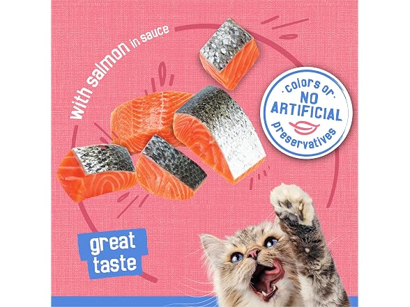 24PK Purina Friskies Shreds With Salmon in Sa