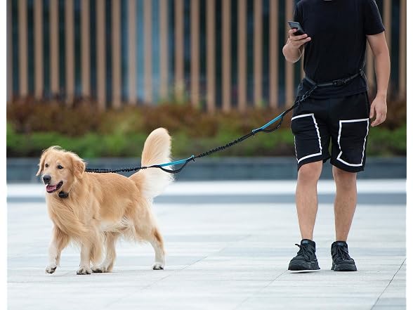 iYoShop Hands Free Dog Leash with Zipper Pouch