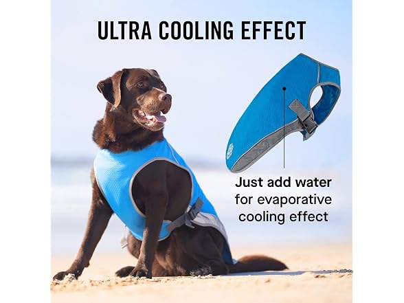 Canada Pooch Dog Cooling Vest