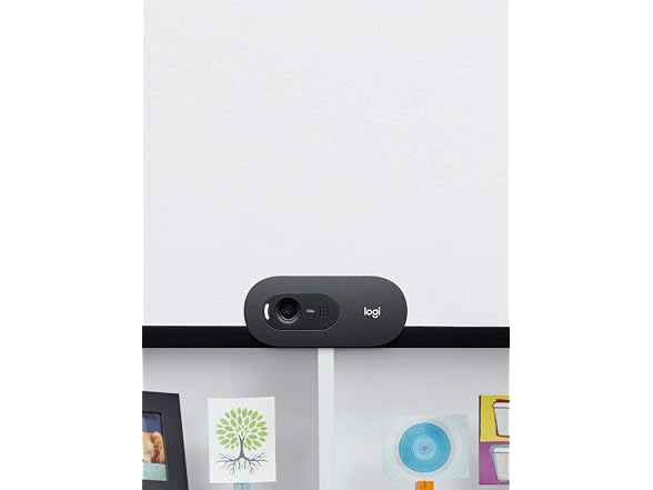 Logitech C505 HD Wired Business Webcam