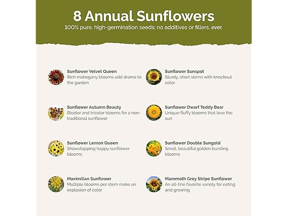 Eden Brothers Sunny Flower Mixed Seeds