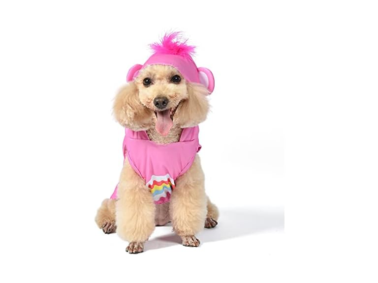 Care Bear for Pets Care Bear for Pets Halloween Cheer Bear