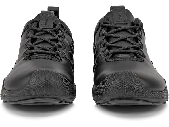 Ecco Biom Aex Men's Shoe