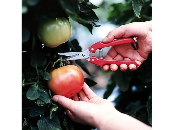 ARS Needle Nose Pruner HP-SE45 3Pk