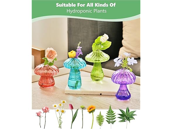 4 Pack Mushroom Glass Plant Terrarium