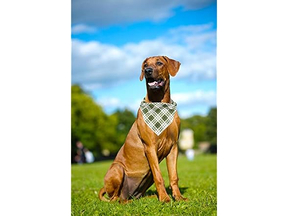 ARING PET Cotton Dog & Cat Bandanas