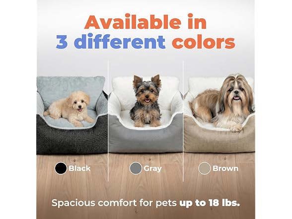 Best Pet Supplies Elevated Dog Car Seat for Small Dogs