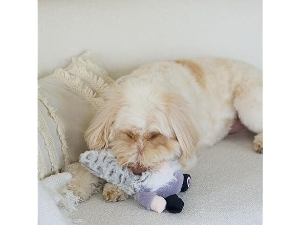 SPOT Woodsy Gnome Dog Toy