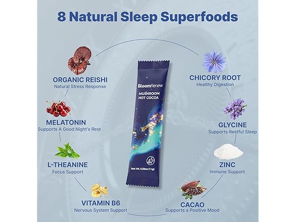 20CT Mushroom Adaptogenic Hot Cocoa