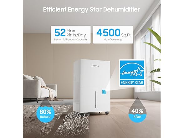 4500 Sq.ft Glowells Dehumidifier