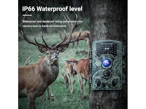 58MP Trail Camera with Night Vision