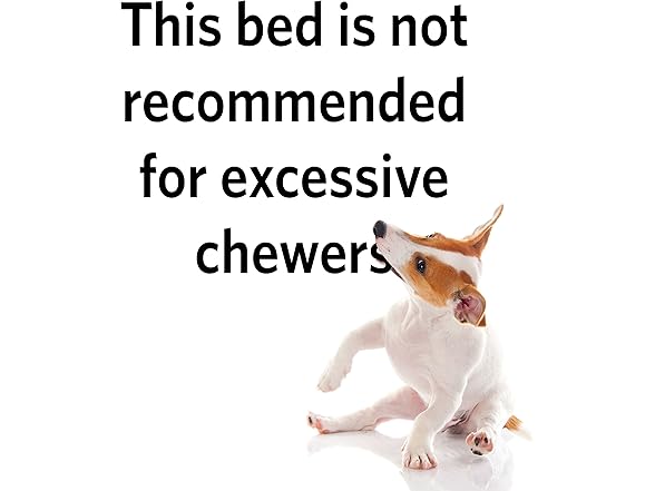 MidWest Homes for Pets Medium QuietTime MAXX