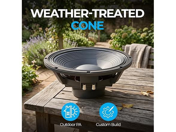 Beyma High Efficiency 12-inch Woofer