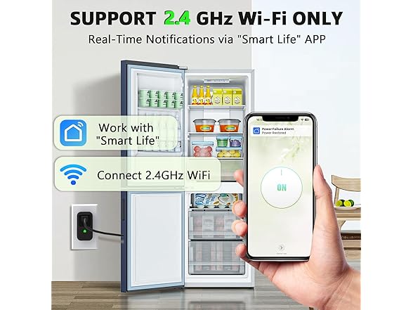 Satisure Power Failure Alarm WiFi