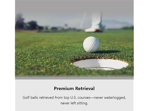 LostGolfBalls Used Titleist Pro V1x 2023 Golf
