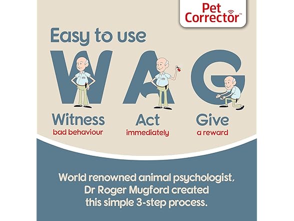 PET CORRECTOR Dog Trainer