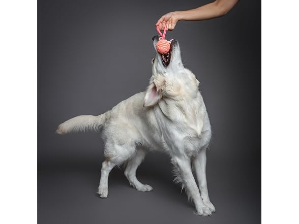 NOAH & PAW Luxury Dog Toy, TPU- Tug Ball, Pink