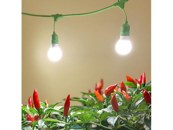 Veggie Grow Kit Pepper 6.5KK 2pk