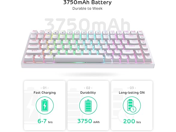 RK 84 Wireless RGB Hot-Swappable Mechanical Keyboard